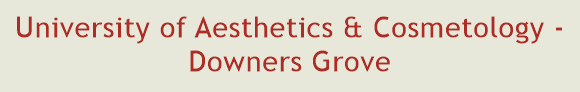 University of Aesthetics & Cosmetology - Downers Grove